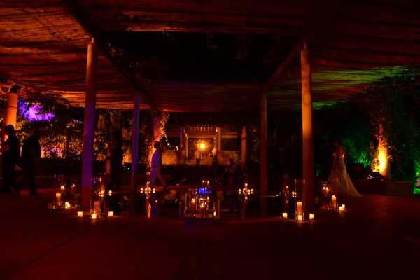 Wedding of Toni Akar